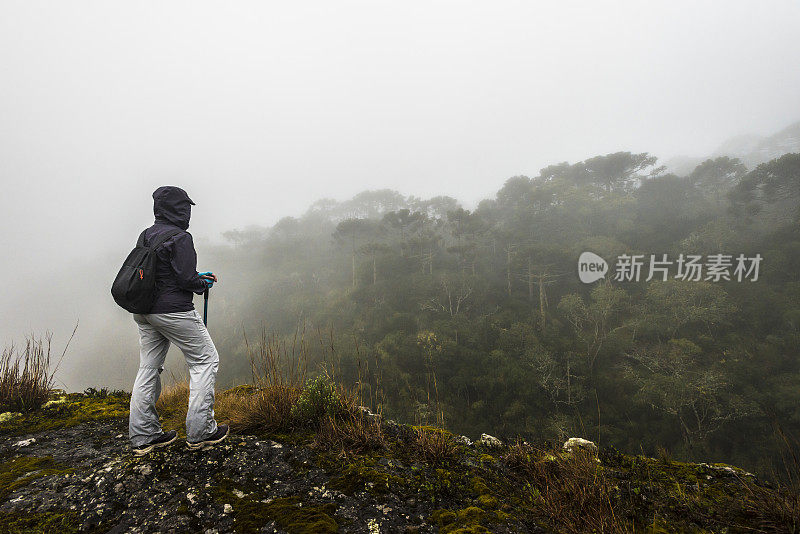 Serra Catarinense(里约热内卢Laranjeiras峡谷)